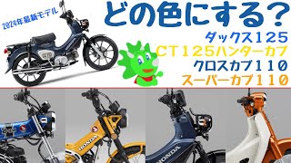 新色登場【２０２４年モデル】スーパーカブ１１０やＣＴ１２５ハンターカブにNEWカラー！廃盤カラーもあるので忘れずにチェック！