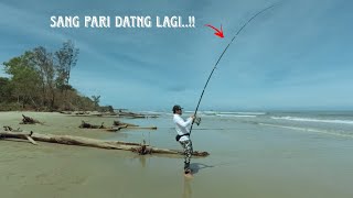 Okuma Surf 8k Strike Ikan pari lagi - Surf Casting - Vlog 05