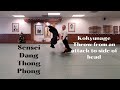 Sensei Dang Thong Phong Demonstrates an Aikido Throw from an attack to side of head