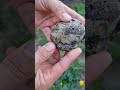 یه سنگ شگفت‌انگیز 🤩 سنگ گوهرسنگ گوهرتراشی جواهر عقیق شکارسنگ shorts gems geology stone