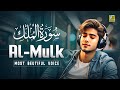 Mellow Recitation of Surah Al Mulk سورة الملك to Unwind and Let Go | Zikrullah TV