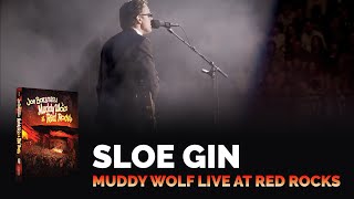 Joe Bonamassa Official - "Sloe Gin" - Muddy Wolf at Red Rocks