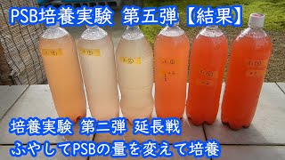 PSB培養実験5【結果】　ふやしてPSBの量（第二弾延長戦）