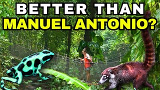 Is This the Best Jungle Hike Near Manuel Antonio? 🐸 Rainmaker Nature Reserve, Costa Rica
