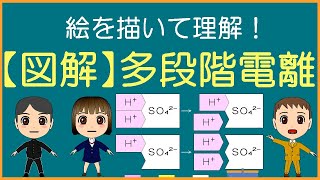 【化学基礎】図解･多段階電離【モル学園】酸･塩基の２段階電離･３段階電離のイオン反応式