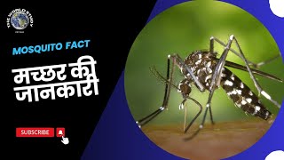 मच्छर के बारे में जानकारी Mosquito In Hindi