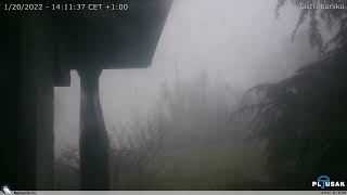 Thursday 20 January 2022 Time Lapse - Foggy and murky drizzly rain