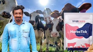 கால்நடையில் உண்ணி பேன் ஈ கொசு மற்றும் பூச்சி தொல்லைக்கு Herbo Tick (ஹெர்போடிக்) | Country Farmss