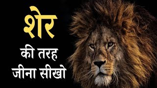 शेर की तरह जीना सीखो |  motivational story in hindi  |