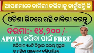 ଆସିଗଲା ସରକାରୀ ଚାକିରୀ | APPLY କରିବା ପାଇଁ FREE | ଓଡିଶା ଭିତରେ ରହି ଚାକିରୀ କରନ୍ତୁ | OSSC Recruitment 2022