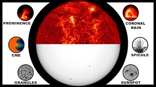 The Sun's Atmosphere