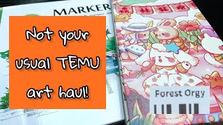 Not your average TEMU art and craft haul!