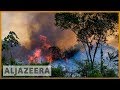 Brazil's Amazon fires could cause disastrous climate change impact