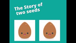 Short Stories Series| The Story of Two Seeds, by Jaynee