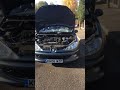 Peugeot 206 cold start