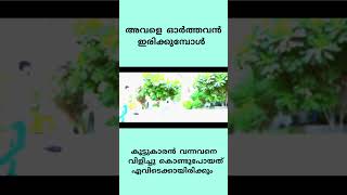 അവളെ മാത്രം മനസ്സിൽ വെച്ചുകൊണ്ട് വിദേശത്തുവന്നപ്പോൾ Thanseer koothuparamba Kamuki avalen