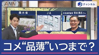 コメの品薄いつまで続く？　農水省・JA・専門家の見解は「9月」…2つの理由【スーパーJチャンネル】(2024年8月22日)