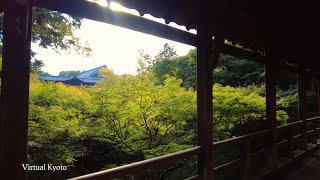 4K Kyoto Japan walk〡Beautiful Japanese temple Tofukuji〡京都東福寺〡ASMR October2021