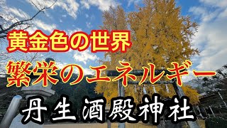 大銀杏のエネルギーで開運・繁栄　丹生酒殿神社（和歌山県かつらぎ町）