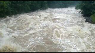 Mankulam river during rainy season