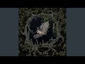 Echolocation