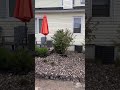 beautiful before and after front yard makeover design garden diy beautiful simple custom