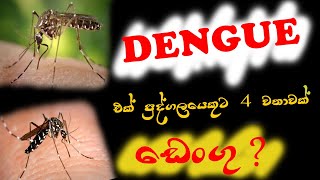 Dengue Fever | ඩෙංගු රෝගය ගැන දැනගමු | sinhala