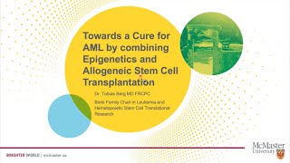 Towards a Cure for Acute Myeloid Leukemia by combining Epigenetics and Stem Cell Transplantation