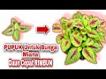 Pupuk Bunga Miana 1 x Minggu (Cepat Rimbun)