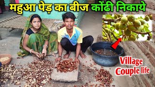 महुआ पेड़ का बीज कोंढी निकाये | महुआ की तेल| Love marriage Couple | Village lifestyle | Mahua ka bij