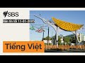 bản tin tối 11 01 2025 sbs vietnamese sbs việt ngữ