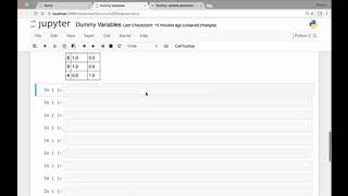 85 Dummy Variables
