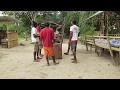 Vanuatu string band of Tutuba Island perform a short song (Island Music)