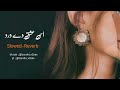 Is Ishq De Dard No ( Slowed) | Saraiki and Punjabi Slowed and Reverb Song | Saraiki Vibes