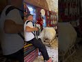 Souq Waqif waltz - original music  Radu Zaplitnii / Live in Doha, Qatar 2022