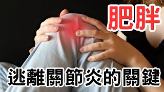 肥胖與關節炎 摧毀健康的致命連結 逃離關節炎陷阱的關鍵 擺脫肥胖束縛 解放關節炎的鎖鏈 拯救關節健康的必修課