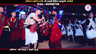 New Nepali Lok Dohori Song Promo "Salijo" by Chiteej Gurung HD