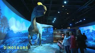 Antarctic Dinosaurs at The Durham Museum