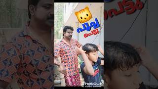 ❤️പൂച്ചയുടെ  നോട്ടം കണ്ട ❤️#shortvideo #comedy #funny #shortsfeed #shortfeed