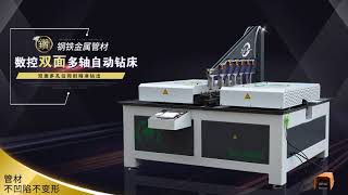 金属多轴自动钻孔机Metal multi axis automatic drilling machine