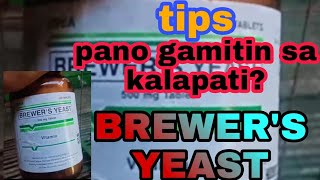 pano gamitin ang BREWER'S YEAST sa kalapati?