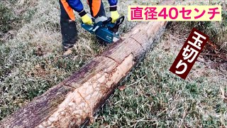 田舎暮らしの日常　丸太の玉切り目標に到達しました　飛騨の山奥での生活