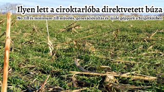 No-till és minimum művelés a Szigetközben - I. rész: Határszemle és koncepcióbemutatás Lajos Misinél