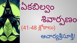 ఏక బిల్వం శివార్పణం(41-48శ్లోకాలు)