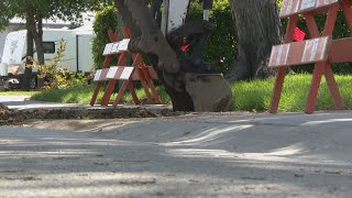 Regina residents, business owners fed up with the state of sidewalks