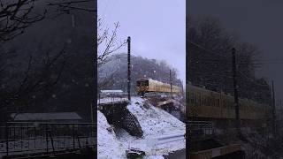 雪景色❄【福塩線105系】府中行　黄色い電車　2024/01/24 　 #jr #train #鉄道