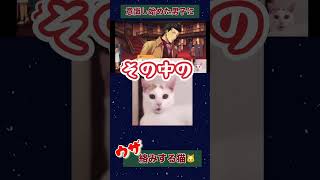 意識し始めた男子高校生にウザ絡みするねこ #恋愛シミュレーションゲーム #ゲーム実況 #ときめきメモリアルgs3 #クリスマス