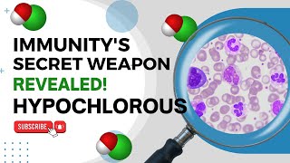 Hypochlorous acid in the immune system?