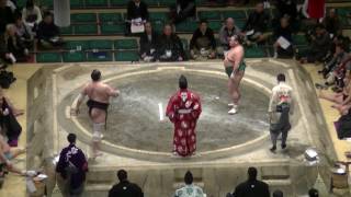 旭日松-安美錦/大相撲.2017.1.21(23)/asahisho-aminishiki/day14 #sumo