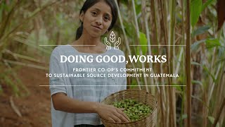 Doing Good, Works: Frontier Co-op’s commitment to sustainable source development in Guatemala